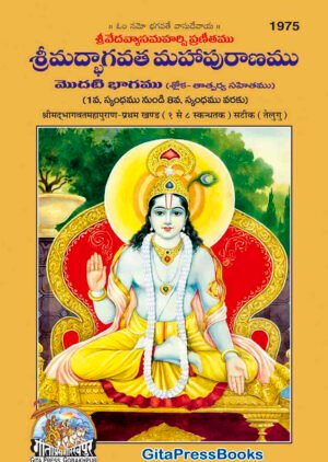 Vyasa Bhagavatam in Telugu (Full Set of 2 Parts) code1975&1976